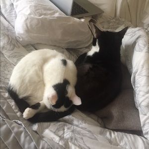 Meet your Posher, Alix